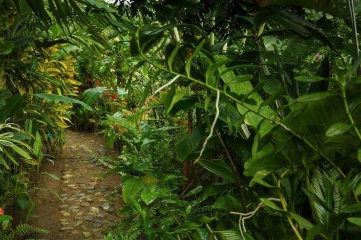 Image No.38-6 Bed Villa for sale