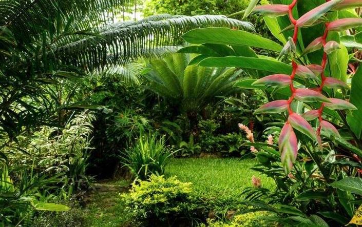 Image No.39-6 Bed Villa for sale