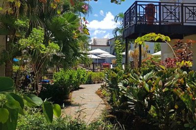 garden-2