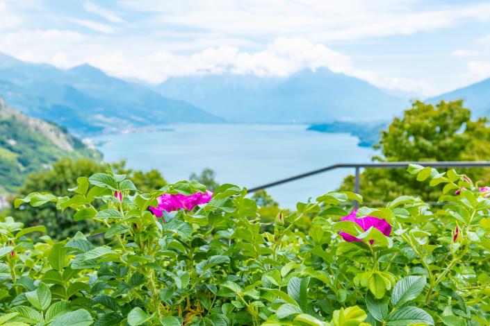 Image No.15-2 Bed House for sale