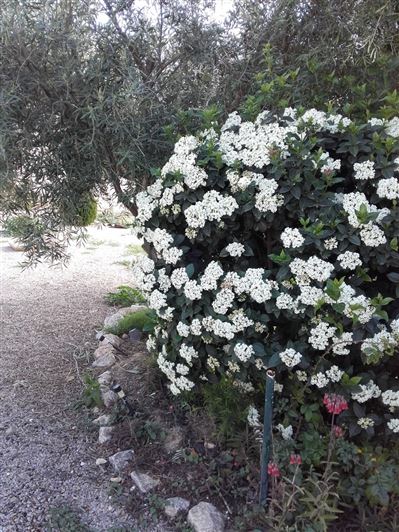 Image No.6-4 Bed Villa for sale