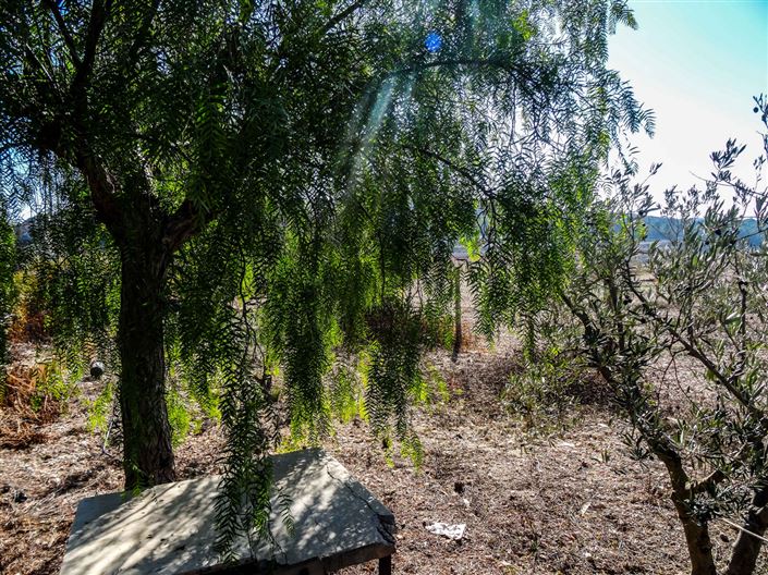 Image No.21-1 Bed Country House for sale