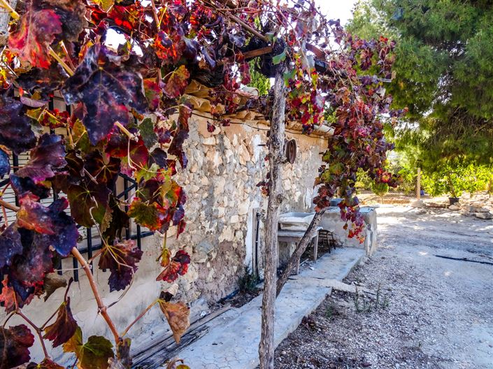 Image No.4-1 Bed Country House for sale