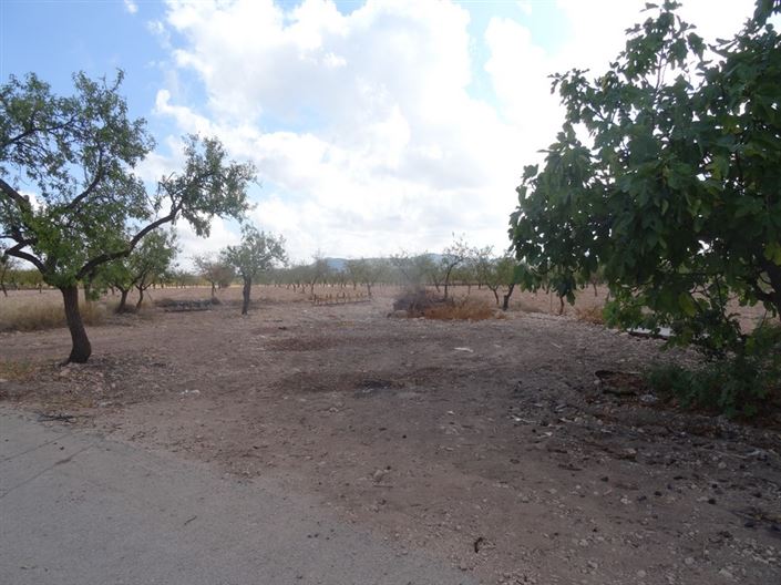 Image No.13-4 Bed Country House for sale