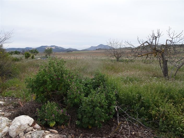 Image No.11-5 Bed Country House for sale