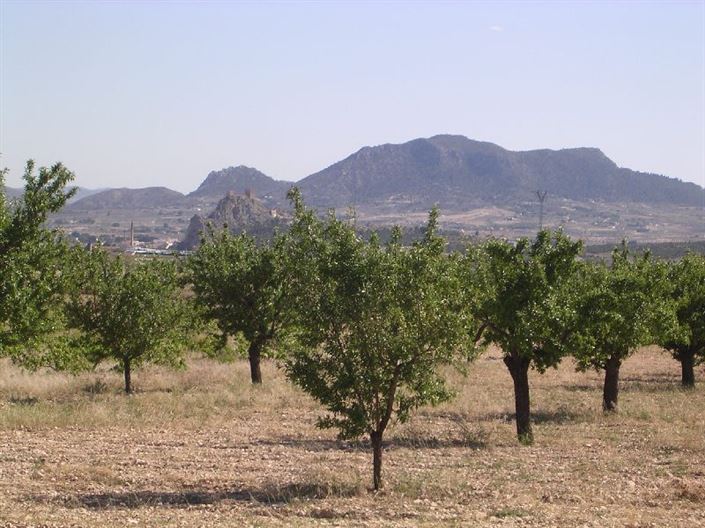 Image No.9-8 Bed Country House for sale