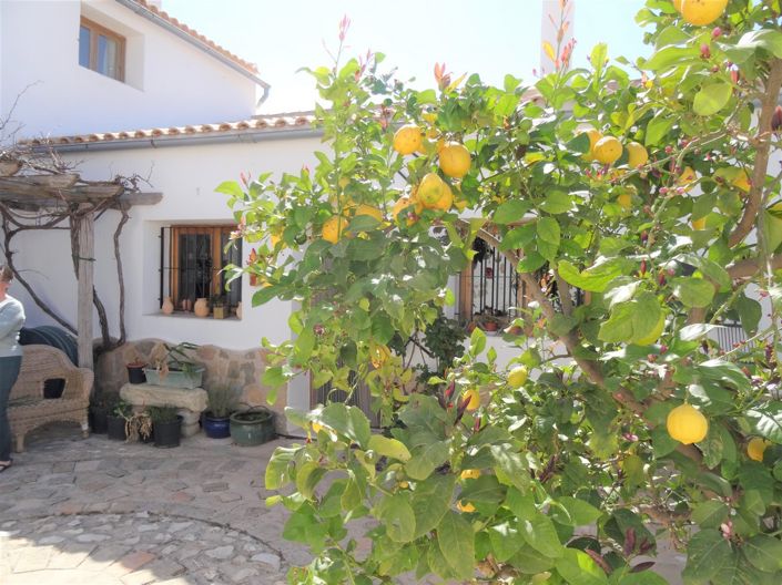 Image No.4-5 Bed Country House for sale