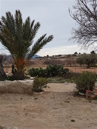 Image No.22-3 Bed Country House for sale