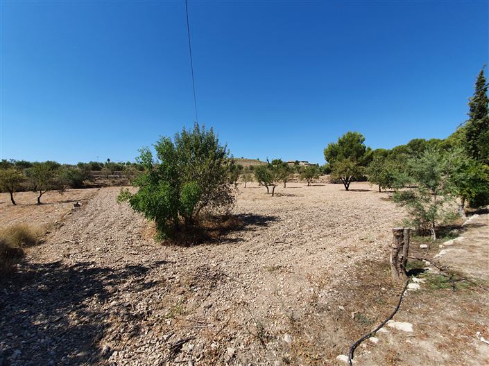 Image No.13-5 Bed Country House for sale