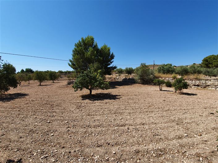 Image No.14-5 Bed Country House for sale