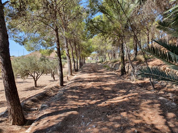 Image No.3-5 Bed Country House for sale