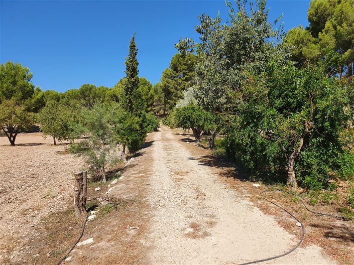 Image No.4-5 Bed Country House for sale