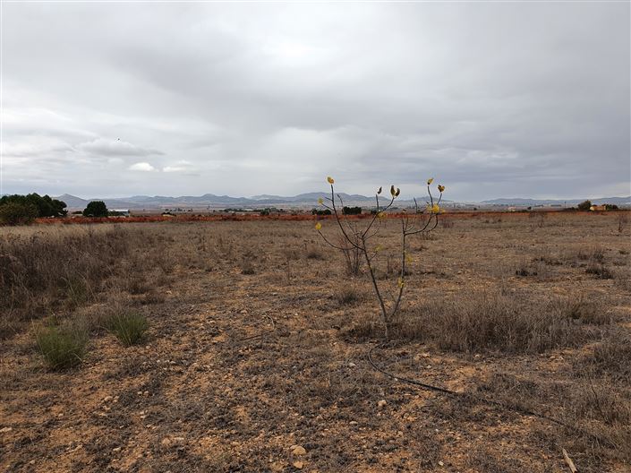 Image No.28-2 Bed Country House for sale