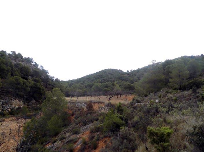 Image No.14-1 Bed Country House for sale