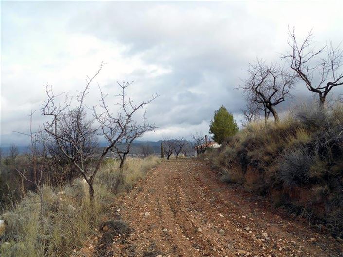 Image No.18-1 Bed Country House for sale