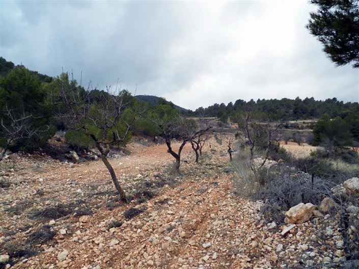 Image No.23-1 Bed Country House for sale