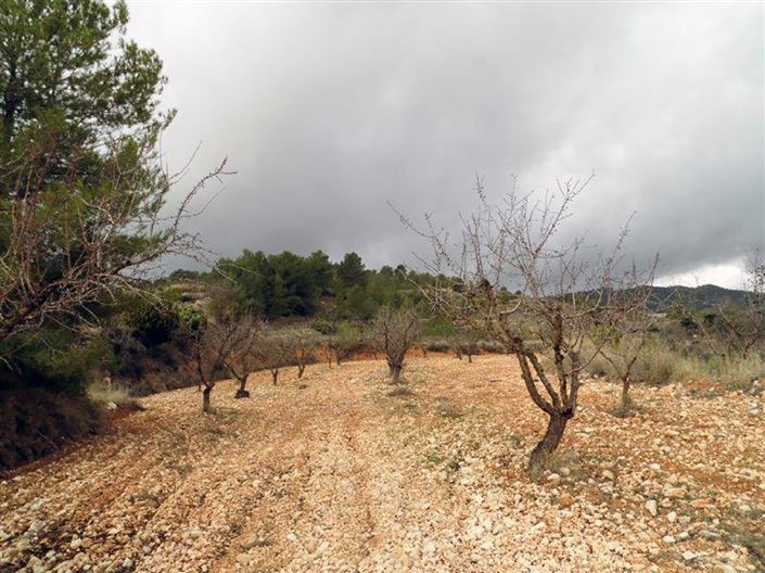 Image No.27-1 Bed Country House for sale