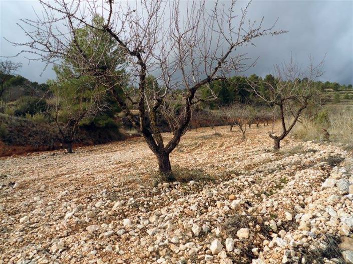 Image No.30-1 Bed Country House for sale