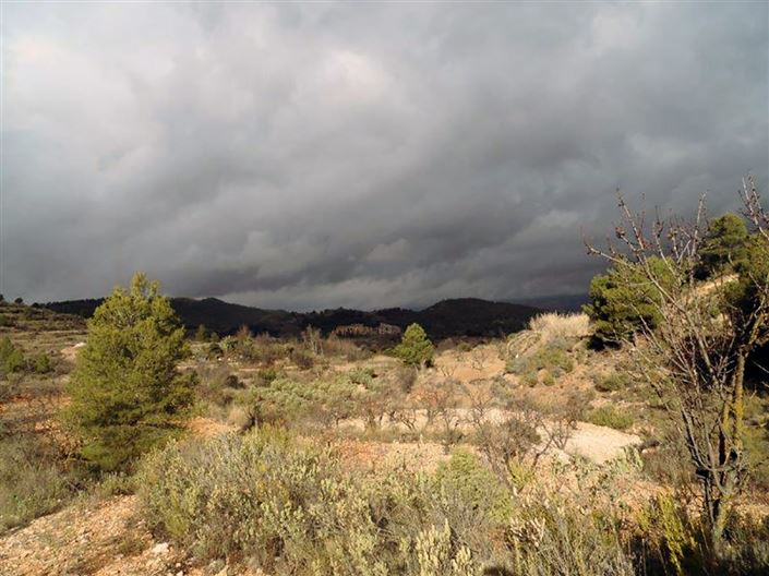 Image No.4-1 Bed Country House for sale