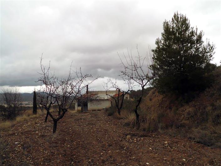 Image No.7-1 Bed Country House for sale