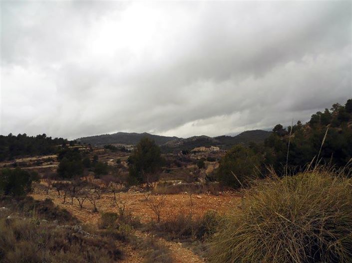 Image No.8-1 Bed Country House for sale