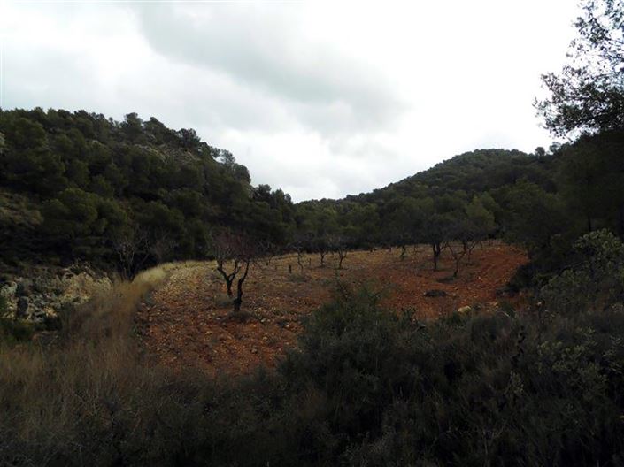 Image No.9-1 Bed Country House for sale