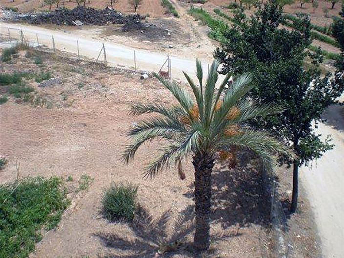 Image No.26-8 Bed Country House for sale