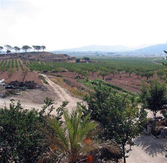 Image No.4-8 Bed Country House for sale