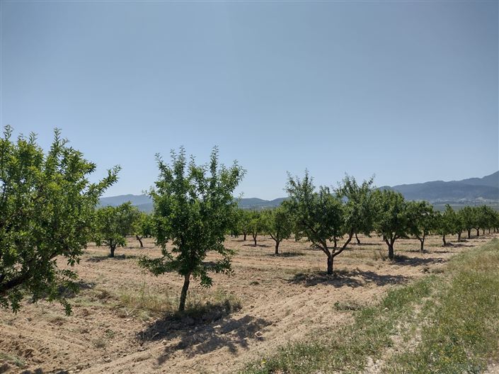 Image No.24-4 Bed Farmhouse for sale