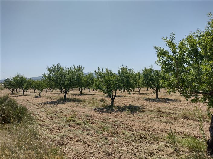 Image No.27-4 Bed Farmhouse for sale