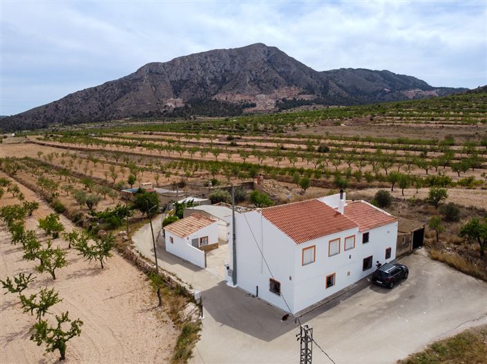 Image No.4-9 Bed Country House for sale