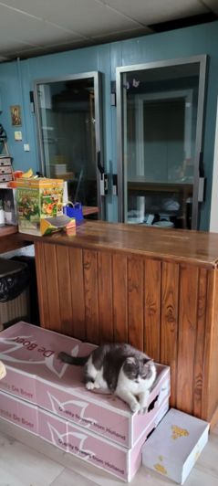 Image No.5-3 Bed Townhouse for sale