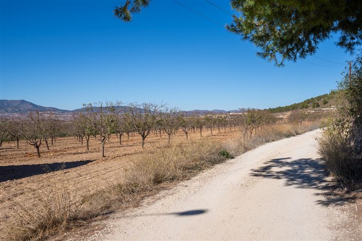 Image No.4-4 Bed Country House for sale