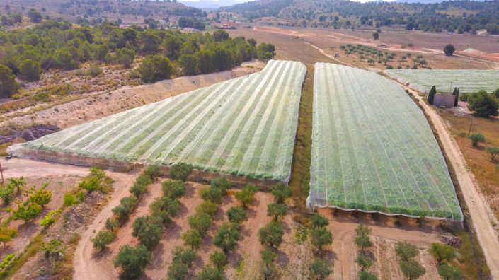 Image No.8-6 Bed Country House for sale