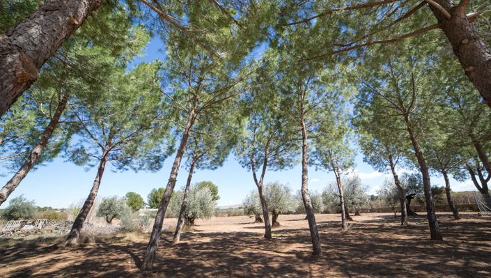 Image No.14-7 Bed Villa for sale