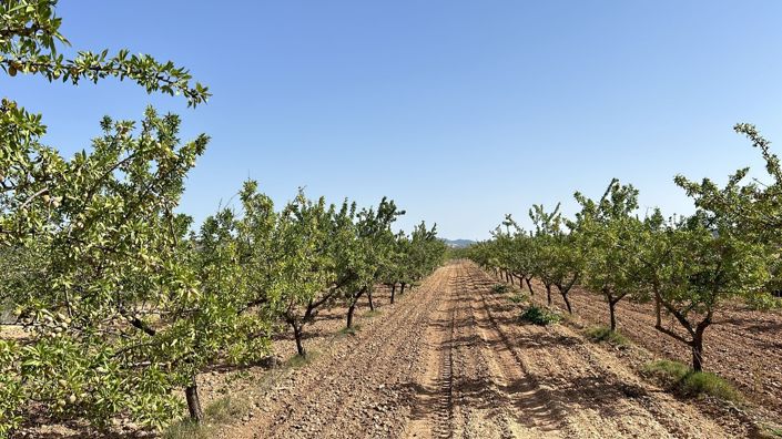 Image No.7-3 Bed Villa for sale