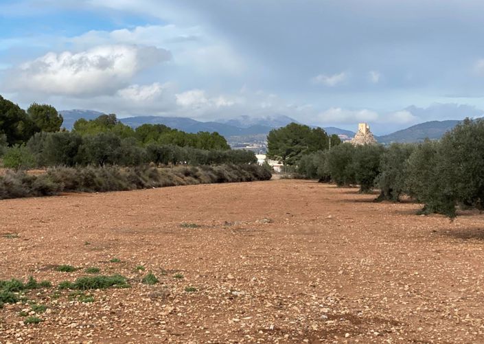 Image No.2-2 Bed Country House for sale