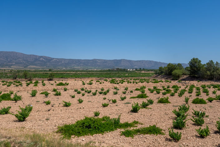 Image No.25-2 Bed Apartment for sale