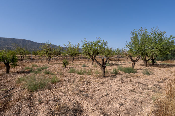 Image No.7-3 Bed Country House for sale