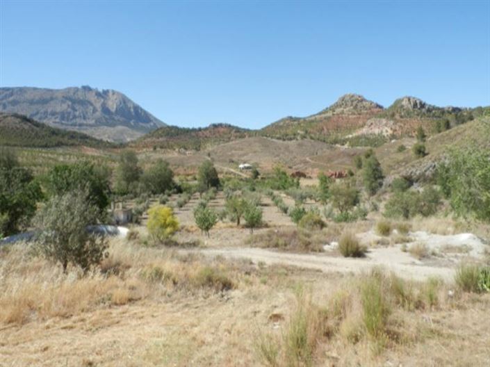 Image No.3-Villa for sale