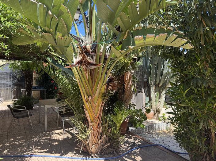 Image No.22-3 Bed Villa for sale