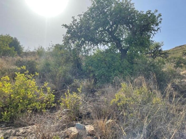 Image No.14-Land for sale