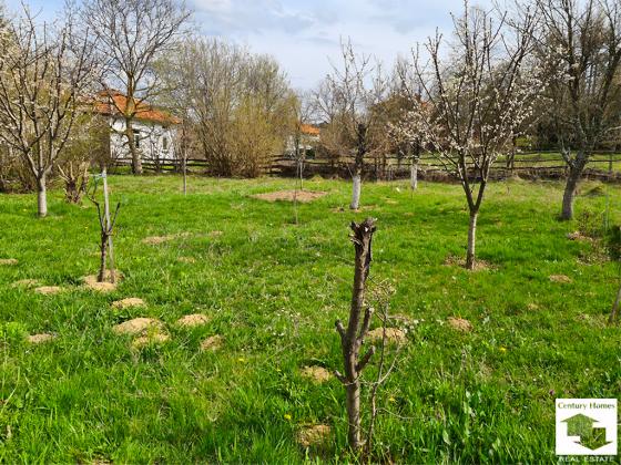 Image No.28-6 Bed House for sale