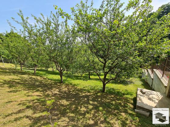 Image No.25-4 Bed House for sale