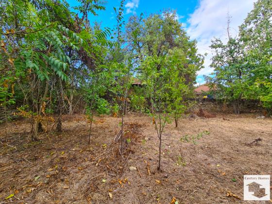 Image No.19-4 Bed House for sale