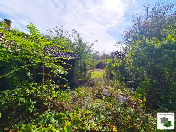 Image No.19-4 Bed House for sale