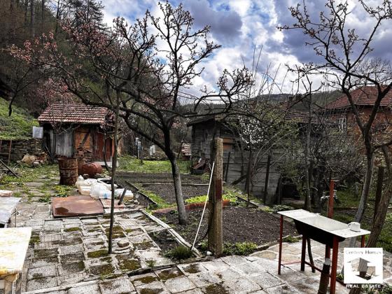 Image No.4-3 Bed House for sale