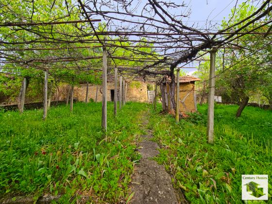 Image No.18-4 Bed House for sale