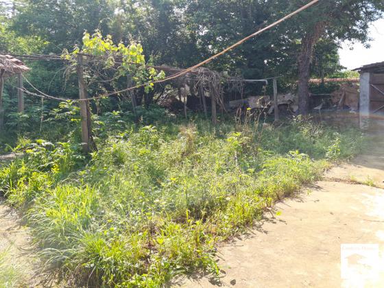 Image No.14-3 Bed House for sale