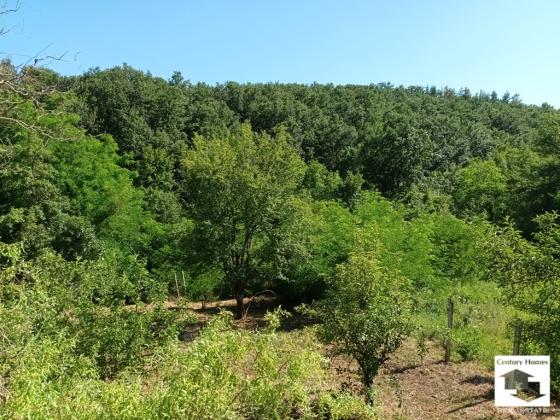 Image No.5-1 Bed House for sale